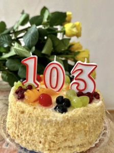 103gadi_3